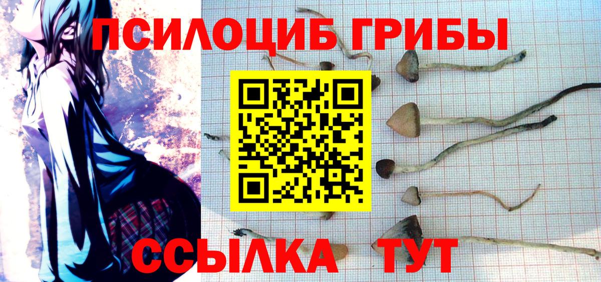 Псилоцибиновые грибы ЛСД Озёры