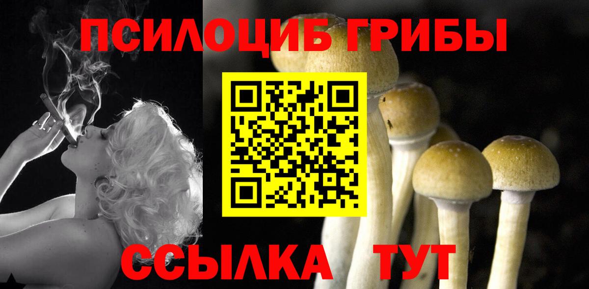 Озёры  Псилоцибиновые грибы ЛСД  Вход с VPN  Галлюциногенные грибы Psilocybine cubensis 